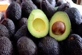 Palta